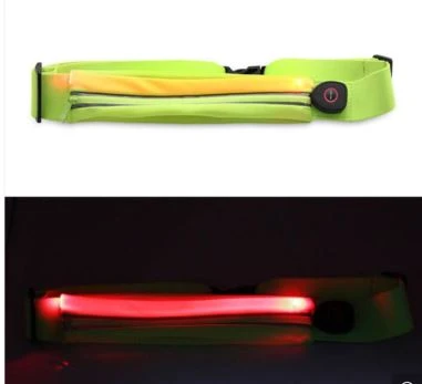 LED Light Purse